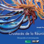 خرید و دانلود نسخه کامل کتاب Crustaces de la Reunion. Decapodes et Stomatopodes (French Edition)