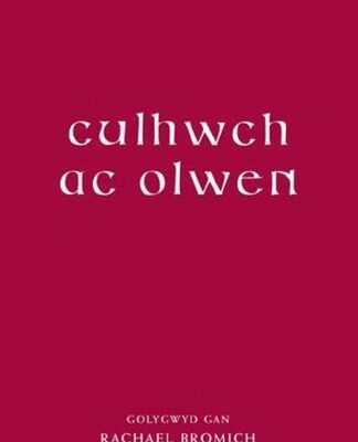 خرید و دانلود نسخه کامل کتاب Culhwch and Olwen: An Edition and Study of the Oldest Arthurian Tale