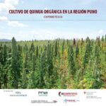 خرید و دانلود نسخه کامل کتاب Cultivo de quinua orgánica  (Chenopodium quinoa Willd.) en la región Puno. Compendio técnico