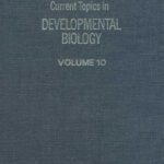 خرید و دانلود نسخه کامل کتاب Current Topics in Developmental Biology, Vol. 10