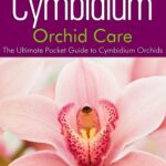 خرید و دانلود نسخه کامل کتاب Cymbidium Orchid Care: The Ultimate Pocket Guide to Cymbidium Orchids – + Pdf