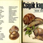 خرید و دانلود نسخه کامل کتاب Czigak, kagylok (Mollusks and slugs – Моллюски)