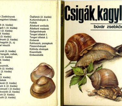 خرید و دانلود نسخه کامل کتاب Czigak, kagylok (Mollusks and slugs – Моллюски)