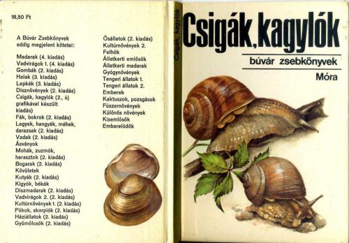 خرید و دانلود نسخه کامل کتاب Czigak, kagylok (Mollusks and slugs – Моллюски)_68e7d8bac267a.jpeg خرید و دانلود نسخه کامل کتاب Czigak, kagylok (Mollusks and slugs – Моллюски)