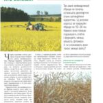 خرید و دانلود نسخه کامل کتاب Азотне підживлення ріпаку: хто більше?