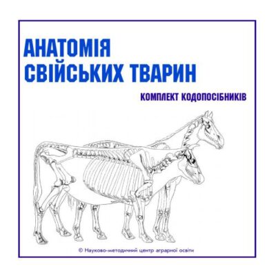 خرید و دانلود نسخه کامل کتاب Анатомія свійських тварин (Комплект кодопосібників)