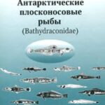 خرید و دانلود نسخه کامل کتاب Антарктические плосконосовые рыбы (Bathydraconidae)