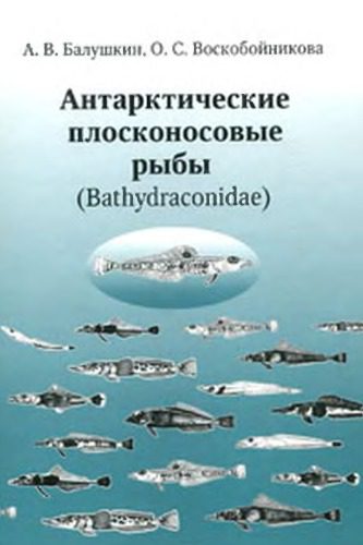 خرید و دانلود نسخه کامل کتاب Антарктические плосконосовые рыбы (Bathydraconidae)_68e7b77a167ad.jpeg خرید و دانلود نسخه کامل کتاب Антарктические плосконосовые рыбы (Bathydraconidae)