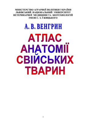 خرید و دانلود نسخه کامل کتاب Атлас анатомій свійських тварин