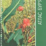 خرید و دانلود نسخه کامل کتاب Атлас бур’янів