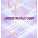 خرید و دانلود نسخه کامل کتاب Біохімія в рисунках і схемах