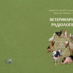 خرید و دانلود نسخه کامل کتاب Ветеринарна радіологія
