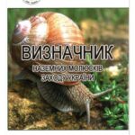 خرید و دانلود نسخه کامل کتاب Визначник наземних молюсків заходу України