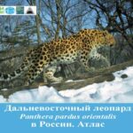 خرید و دانلود نسخه کامل کتاب Дальневосточный леопард (Panthera pardus orientalis) в России. Атлас