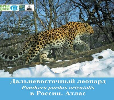 خرید و دانلود نسخه کامل کتاب Дальневосточный леопард (Panthera pardus orientalis) в России. Атлас