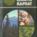 خرید و دانلود نسخه کامل کتاب Екзоти Карпат