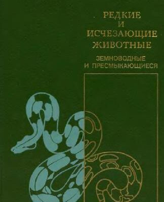 خرید و دانلود نسخه کامل کتاب Земноводные и пресмыкающиеся