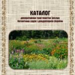 خرید و دانلود نسخه کامل کتاب Каталог декоративних травʼянистих рослин ботанічних садів і дендропарків України: Довідниковий посібник