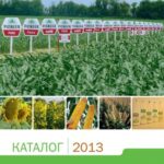خرید و دانلود نسخه کامل کتاب Каталог насіння компанії Піонер 2013