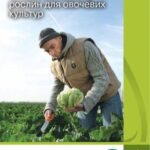 خرید و دانلود نسخه کامل کتاب Каталог насіння та засобів захисту рослин для овочевих культур Сингента 2013