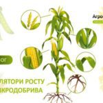 خرید و دانلود نسخه کامل کتاب Каталог: Регулятори росту та мікроелементи ТОВ Агросфера