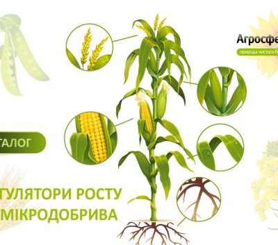 خرید و دانلود نسخه کامل کتاب Каталог: Регулятори росту та мікроелементи ТОВ Агросфера