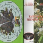 خرید و دانلود نسخه کامل کتاب Каштанова мінуюча міль