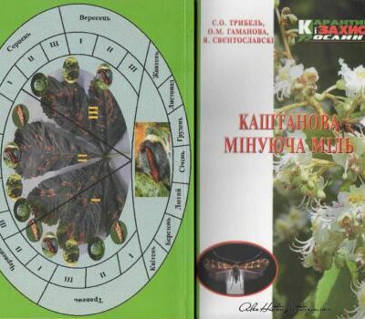 خرید و دانلود نسخه کامل کتاب Каштанова мінуюча міль