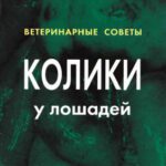 خرید و دانلود نسخه کامل کتاب Колики у лошадей