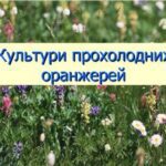 خرید و دانلود نسخه کامل کتاب Культури прохолодних оранжерей + Культури родини Геснерієвих