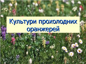 خرید و دانلود نسخه کامل کتاب Культури прохолодних оранжерей + Культури родини Геснерієвих