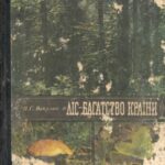 خرید و دانلود نسخه کامل کتاب Ліс — багатство країни