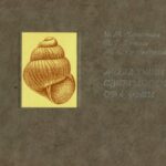 خرید و دانلود نسخه کامل کتاب Моллюски Свердловской области. Атлас-справочник.