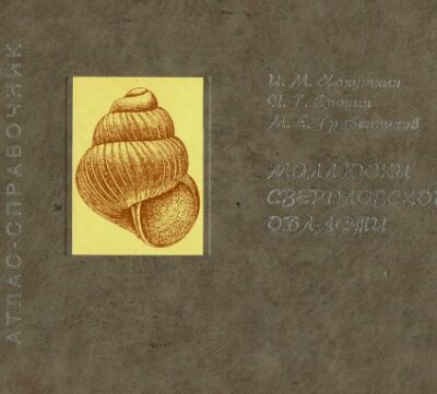 خرید و دانلود نسخه کامل کتاب Моллюски Свердловской области. Атлас-справочник.