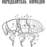 خرید و دانلود نسخه کامل کتاب Определитель короедов.