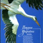 خرید و دانلود نسخه کامل کتاب Птахи Украiни. Польовий визначник.