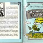 خرید و دانلود نسخه کامل کتاب Светофар в полето