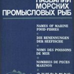 خرید و دانلود نسخه کامل کتاب Словарь названий промысловых рыб мировой фауны