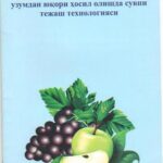 خرید و دانلود نسخه کامل کتاب Сув танқислиги шароитида мева ва узумдан юқори ҳосил олишда сувни тежаш технологияси