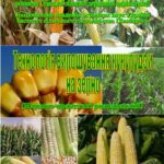 خرید و دانلود نسخه کامل کتاب Технологія вирощування кукурудзи на зерно