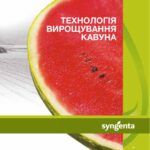 خرید و دانلود نسخه کامل کتاب Технологія вирощування кавуна