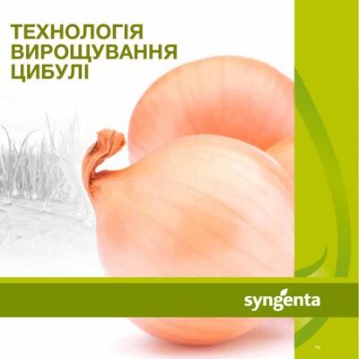 خرید و دانلود نسخه کامل کتاب Технологія вирощування цибулі