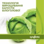 خرید و دانلود نسخه کامل کتاب Технологія вирощування капусти білокачанної