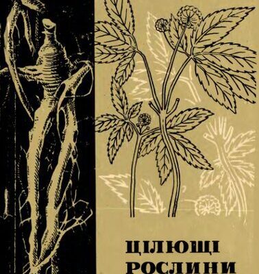 خرید و دانلود نسخه کامل کتاب Цілющі рослини