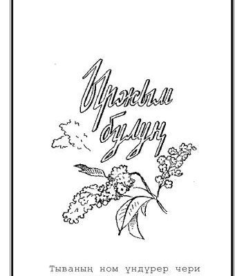 خرید و دانلود نسخه کامل کتاب Ыржым булуң