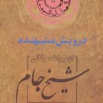 خرید و دانلود نسخه کامل کتاب درویش ستیهنده از میراث عرفانی شیخ جام