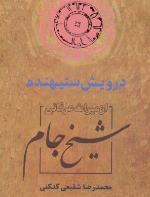 خرید و دانلود نسخه کامل کتاب درویش ستیهنده از میراث عرفانی شیخ جام
