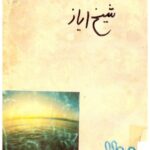 خرید و دانلود نسخه کامل کتاب پتڻ ٿو پور ڪري