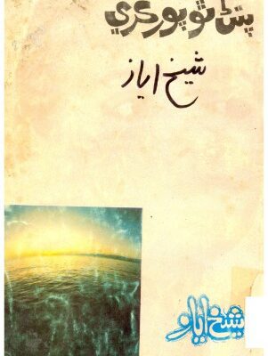 خرید و دانلود نسخه کامل کتاب پتڻ ٿو پور ڪري