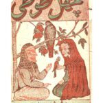 خرید و دانلود نسخه کامل کتاب چهل طوطی